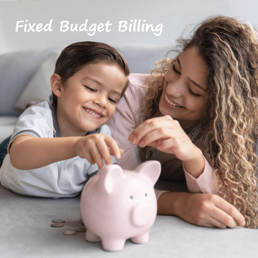 budget-billing-steuben-rural-electric-cooperative